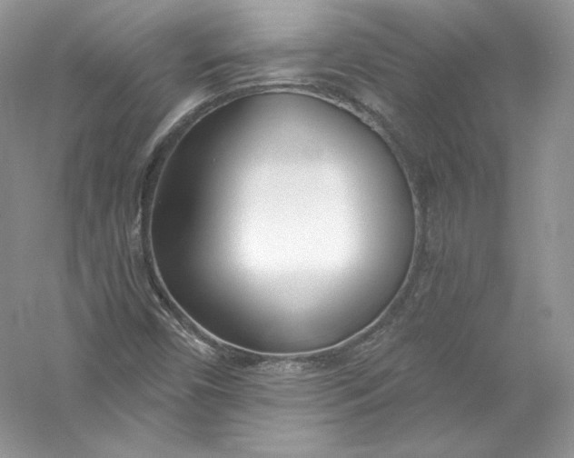 X0000056021450200509092126