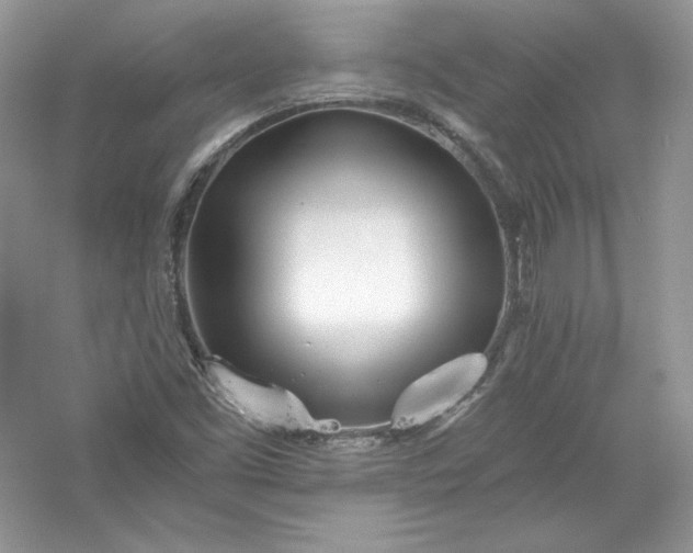 X0000056021453200509092126