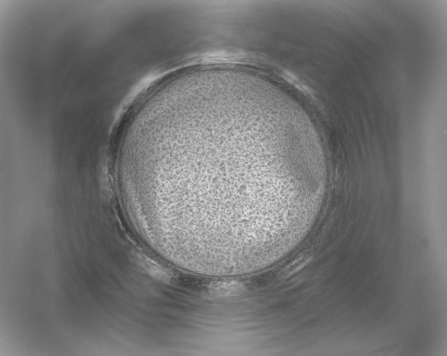 X0000056021454200509092126