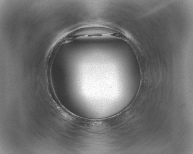 X0000056021456200509092126