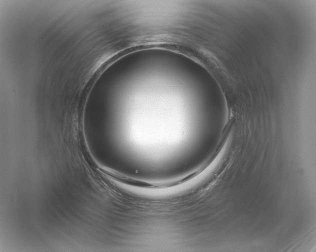 X0000056021457200509092126