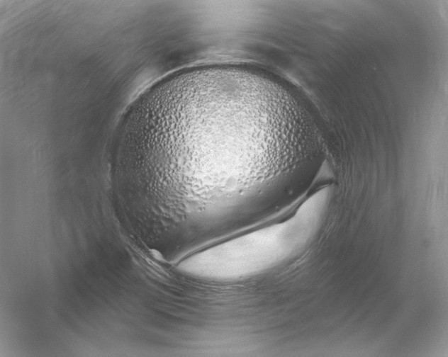 X0000056021459200509092126