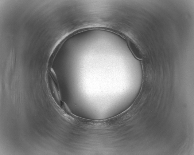 X0000056021460200509092126