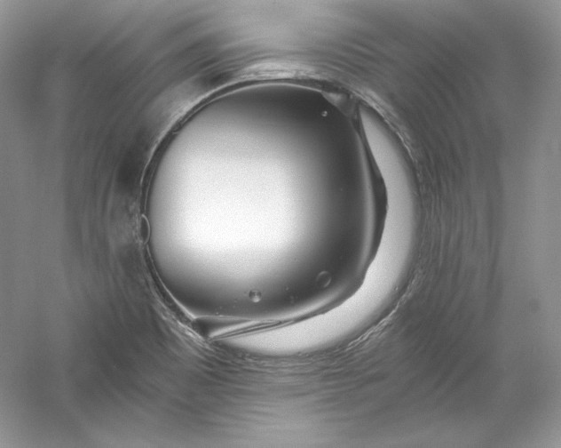 X0000056021465200509092126