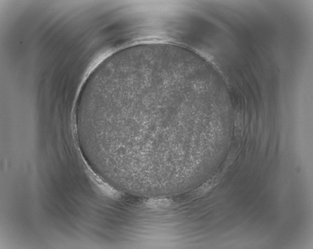 X0000056021466200509092126