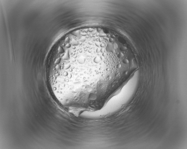 X0000056021467200509092126