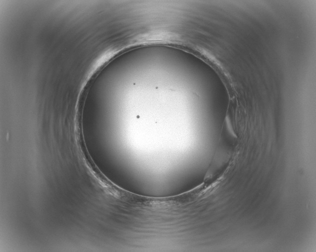 X0000056021469200509092126