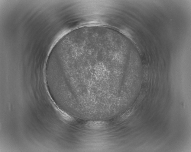 X0000056021474200509092126