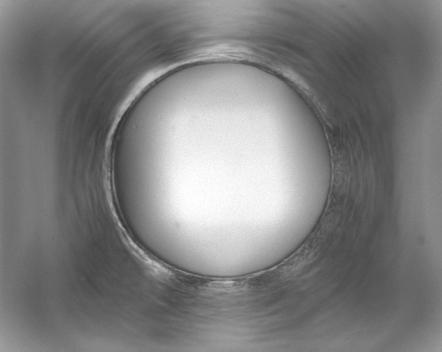 X0000056021478200509092126
