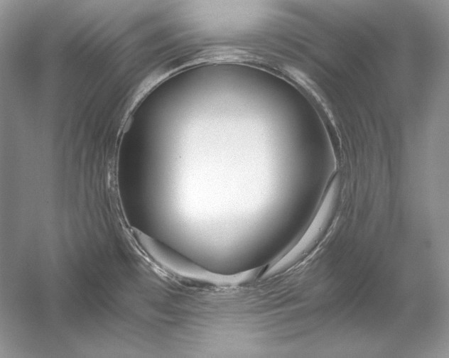X0000056021481200509092126