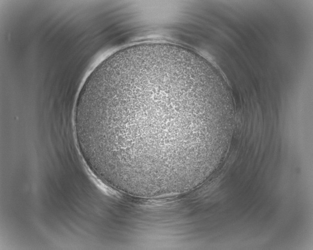 X0000056021482200509092126