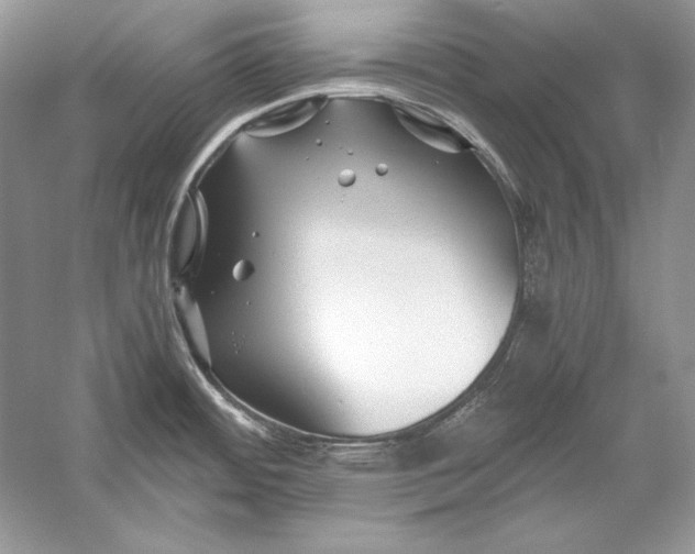 X0000056021484200509092126