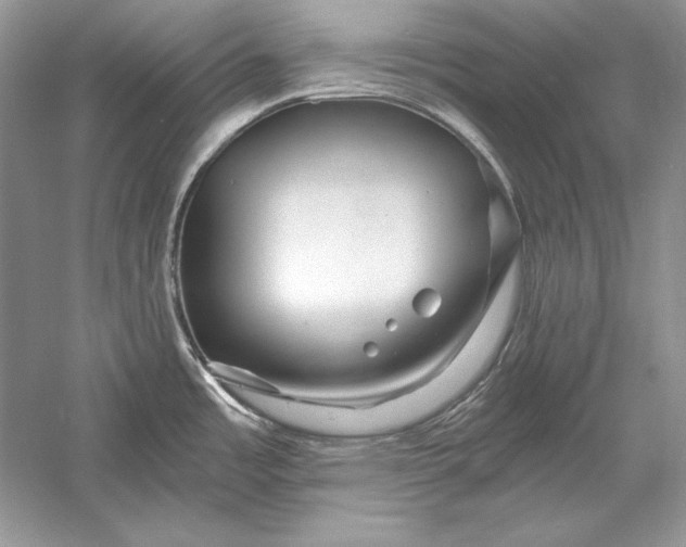 X0000056021485200509092126