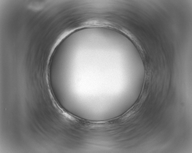 X0000056021486200509092126