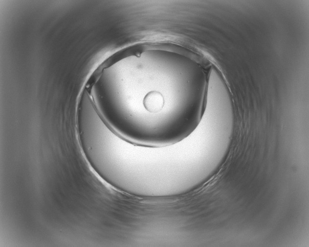 X0000056021487200509092126