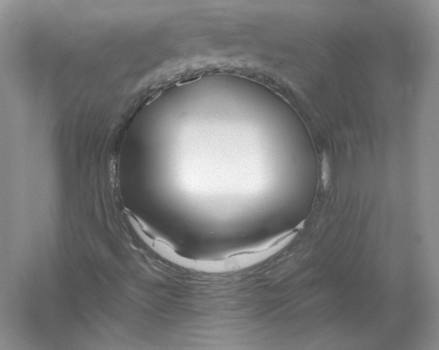 X0000056021492200509092125