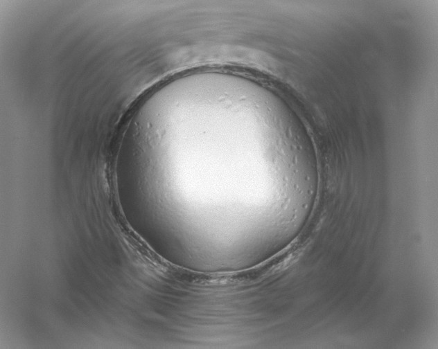 X0000056021497200509092125