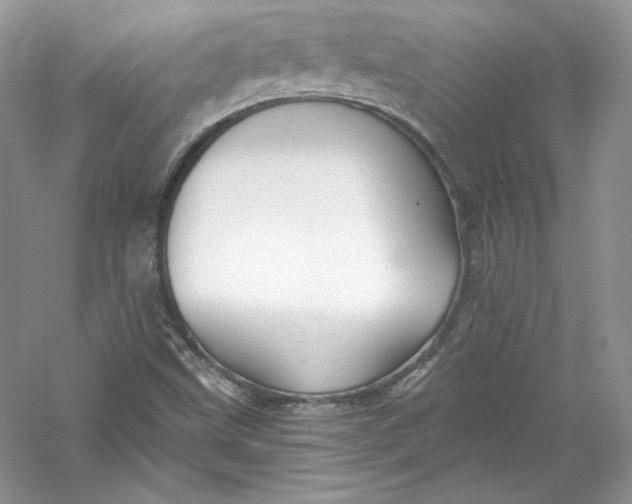 X0000056021499200509092125