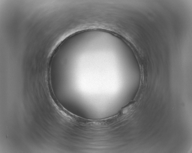 X0000056021500200509092125