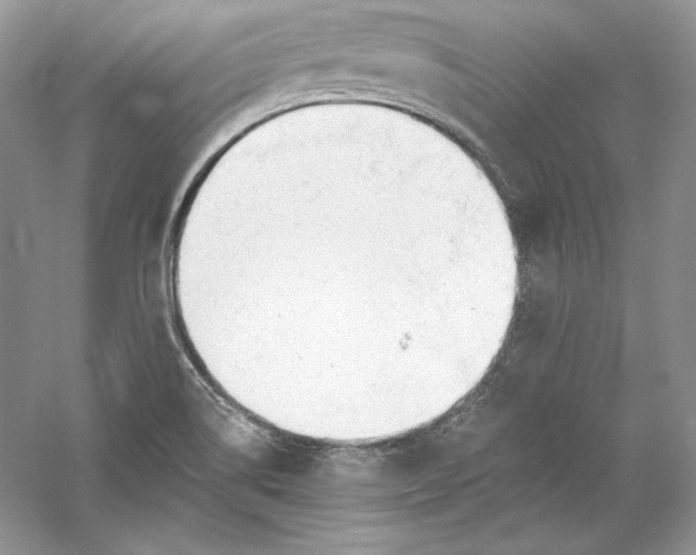 X0000056021514200509092125