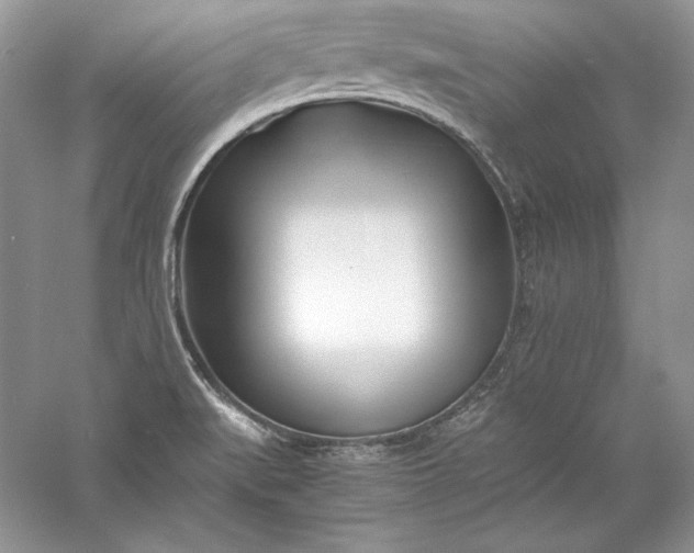 X0000056021519200509092125