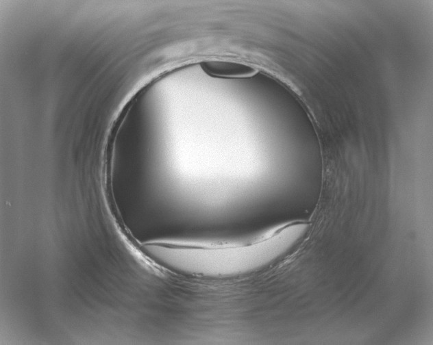 X0000056021523200509092125