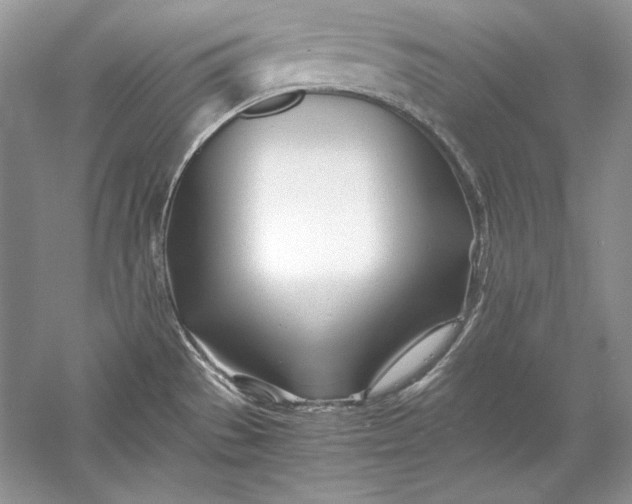 X0000056021529200509092126