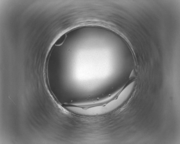 X0000056021533200509092126