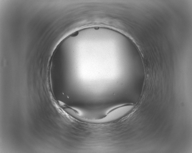 X0000056021534200509092126
