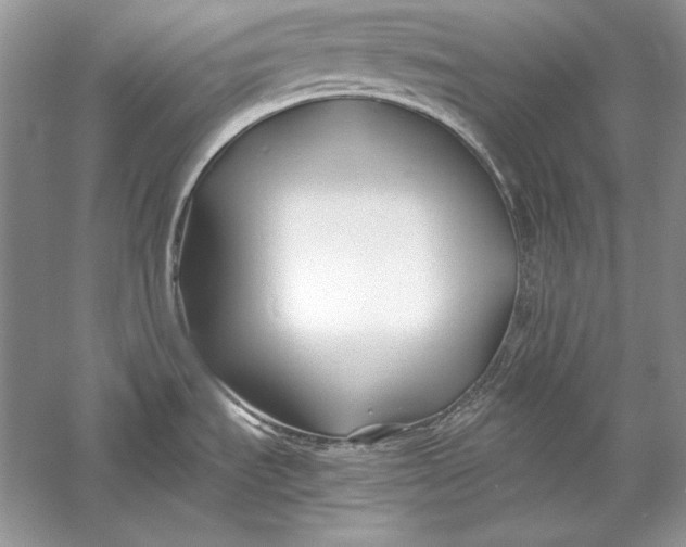 X0000056021535200509092126