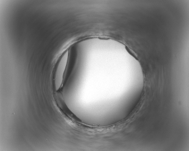 X0000056020005200509170022