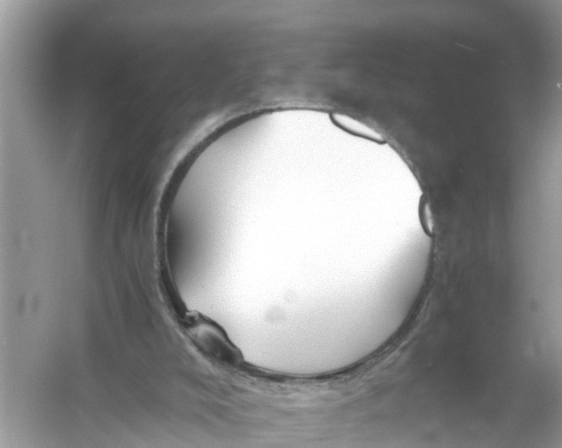 X0000056020008200509170022