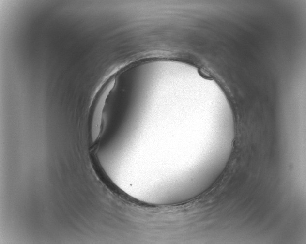 X0000056020011200509170022