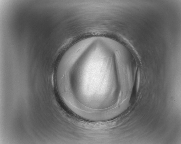 X0000056020019200509170022