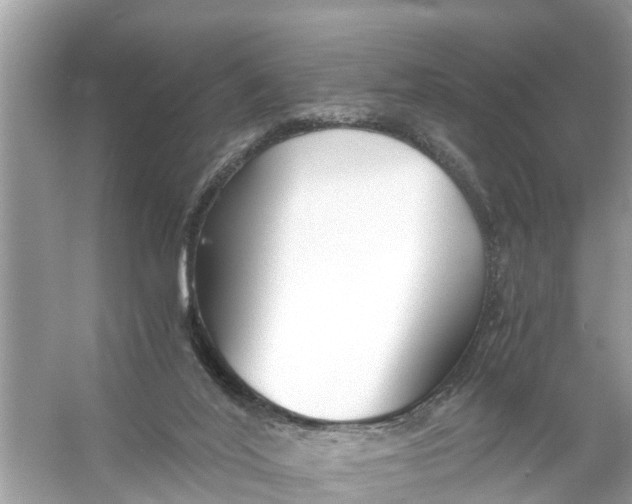 X0000056020020200509170022