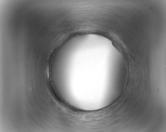 X0000056020021200509170022