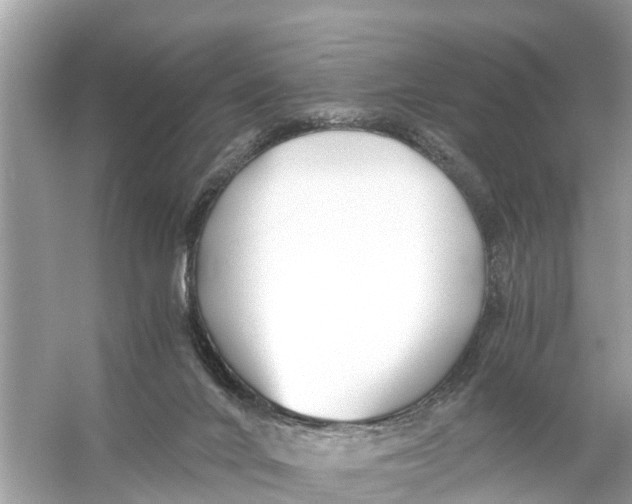 X0000056020024200509170022