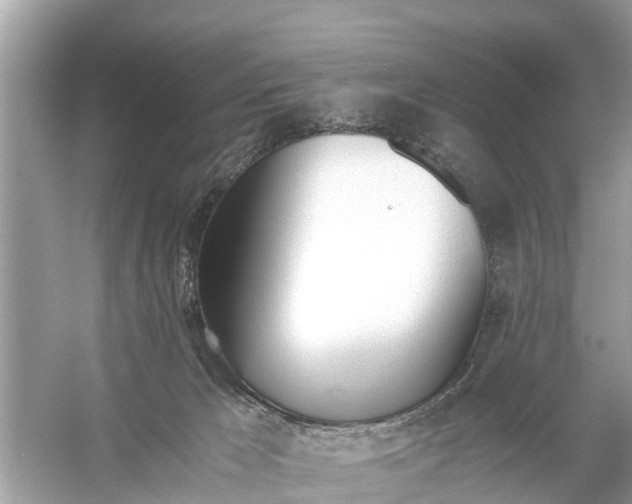 X0000056020029200509170022