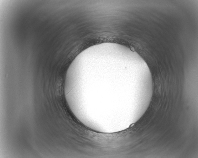 X0000056020034200509170022