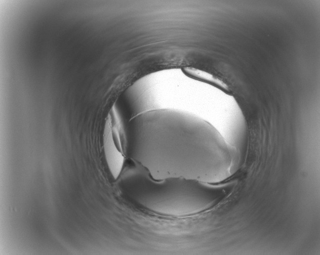 X0000056020035200509170022