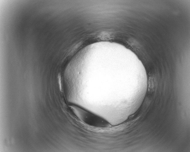 X0000056020046200509170022