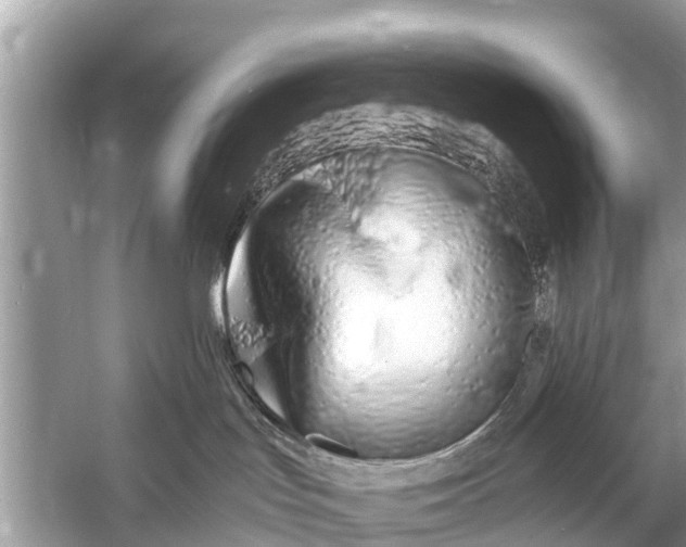 X0000056020047200509170022