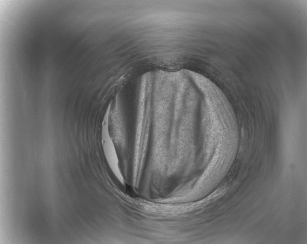 X0000056020048200509170022