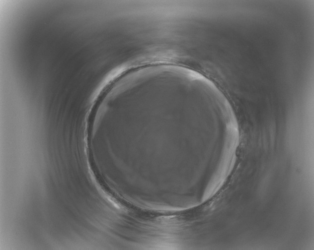 X0000056020054200509170021