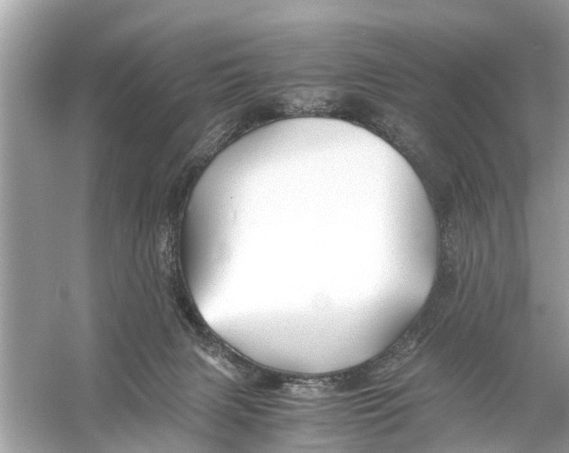 X0000056020079200509170021
