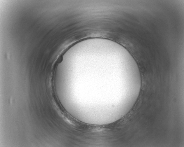 X0000056020098200509170021