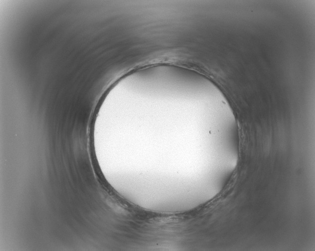 X0000056020100200509170021