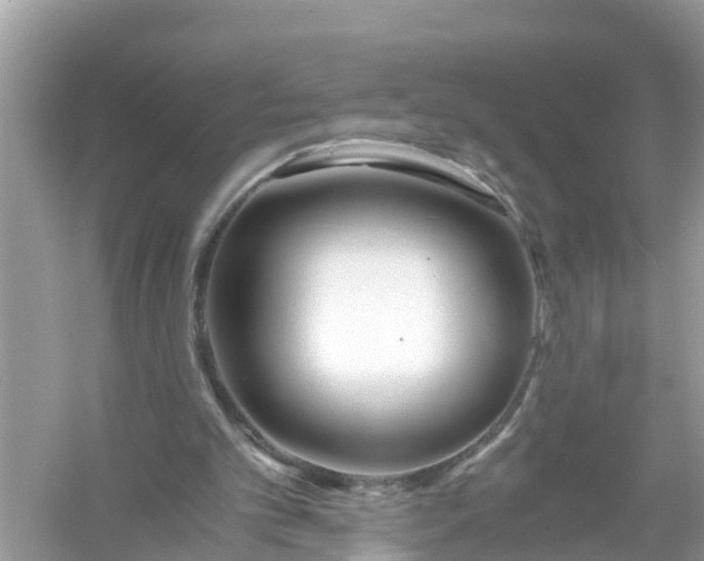 X0000056020101200509170021