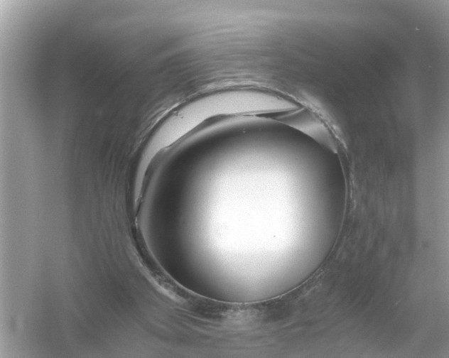 X0000056020105200509170021