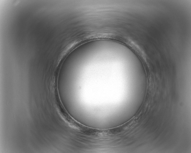 X0000056020107200509170021